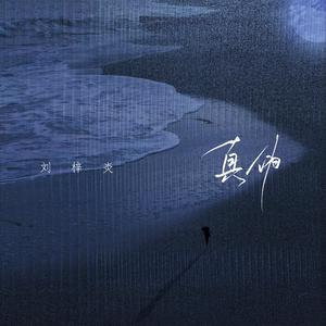 亚洲欧美日韩精品在线
